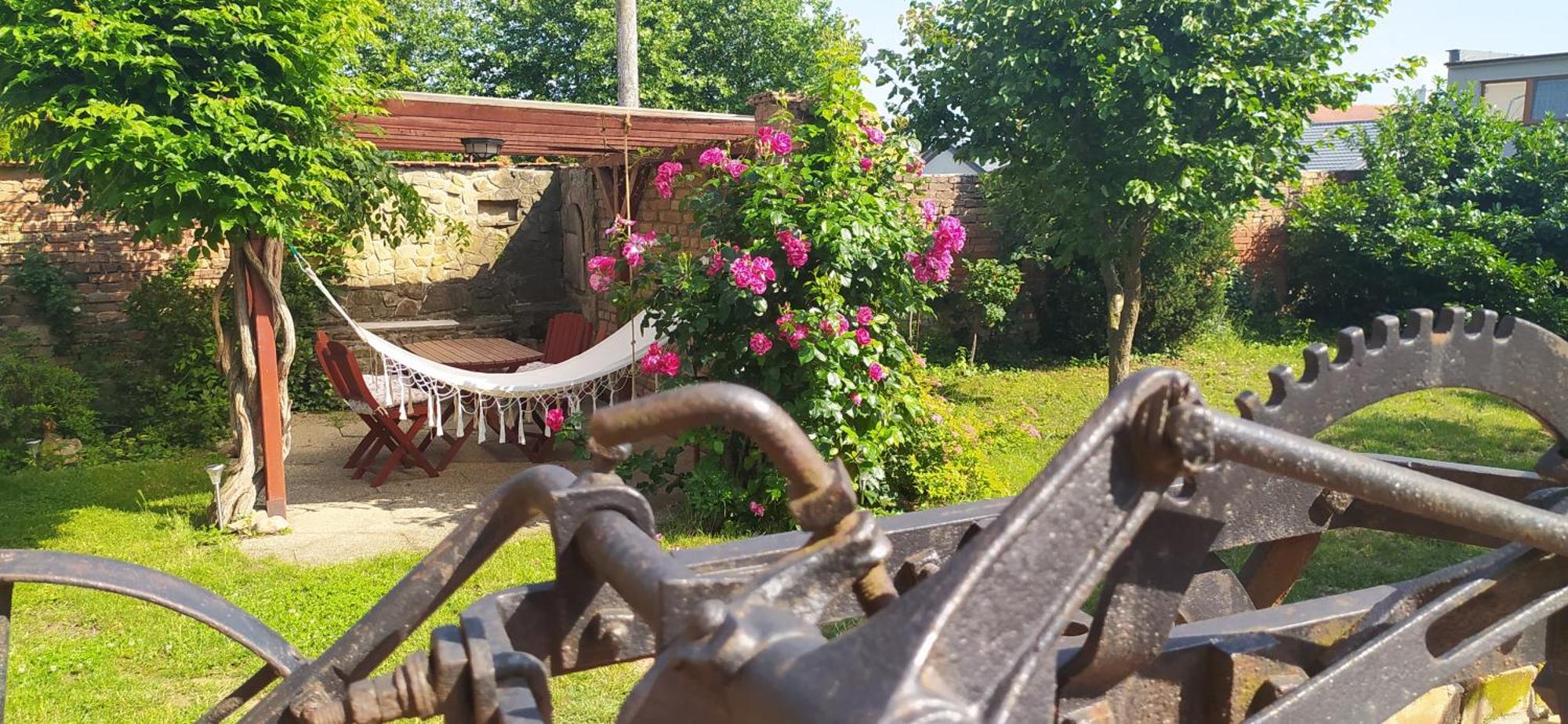 Pujcovna A Pod Palavou Homestay Sakvice